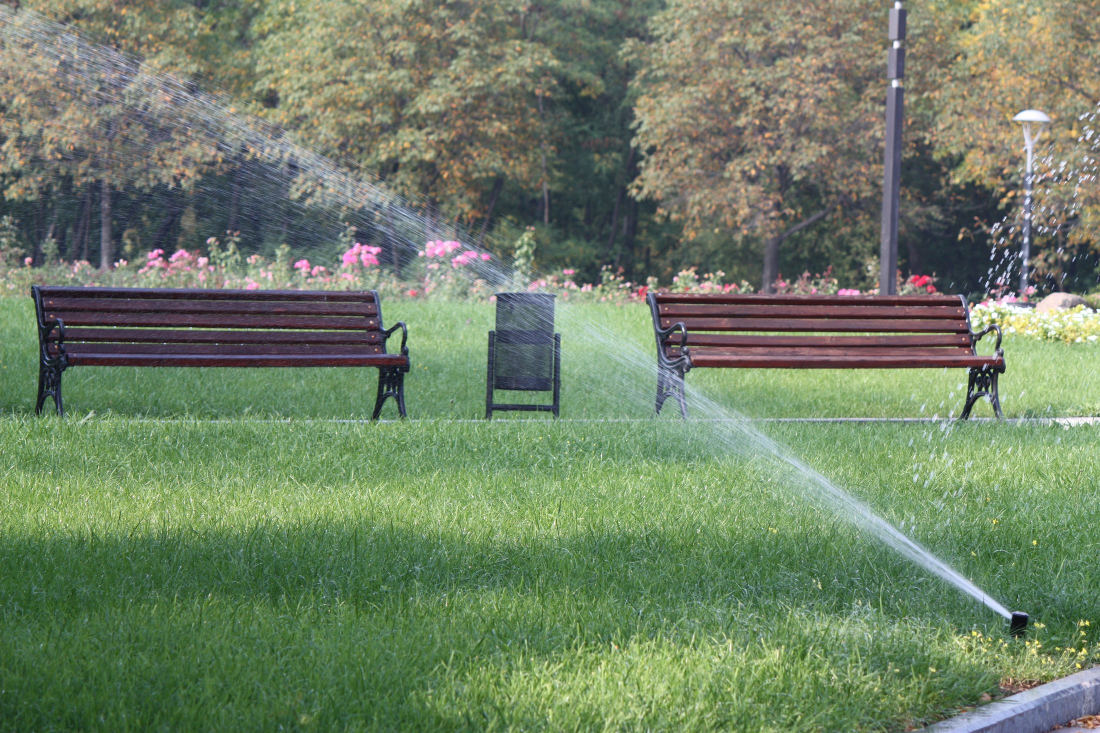 Парк Ленінського Комсомолу, фото 12